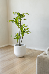 140cm Potted Artificial Dracaena