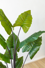 Potted Artificial Philodendron