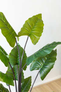 Potted Artificial Philodendron