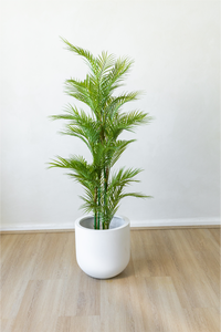 150cm Artificial Palm Tree