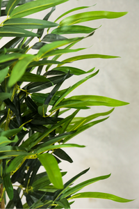 150cm Artificial Bamboo Plant