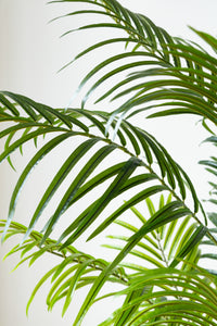 160cm Artificial Palm Tree