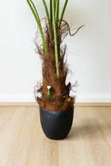 140cm Artificial Palm Tree
