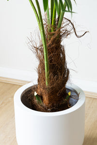 140cm Artificial Palm Tree