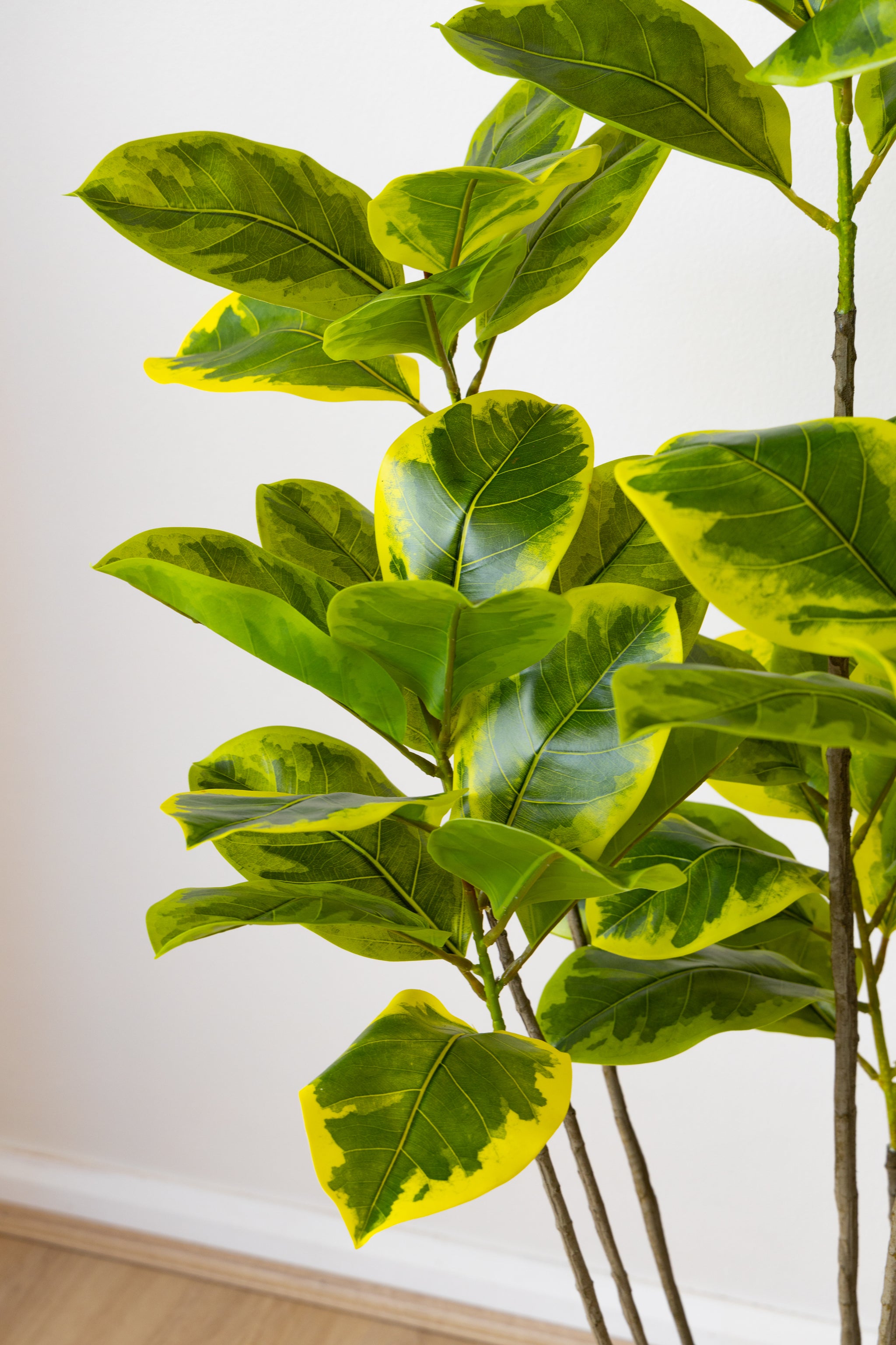 150cm Artificial Fiddle Leaf