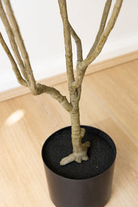 150cm Artificial Fiddle Leaf
