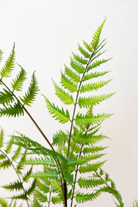 130cm Artificial Fern