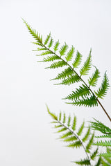130cm Artificial Fern