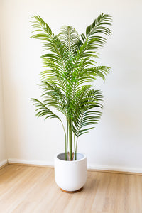 180cm Artificial Palm Tree