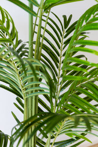 180cm Artificial Palm Tree