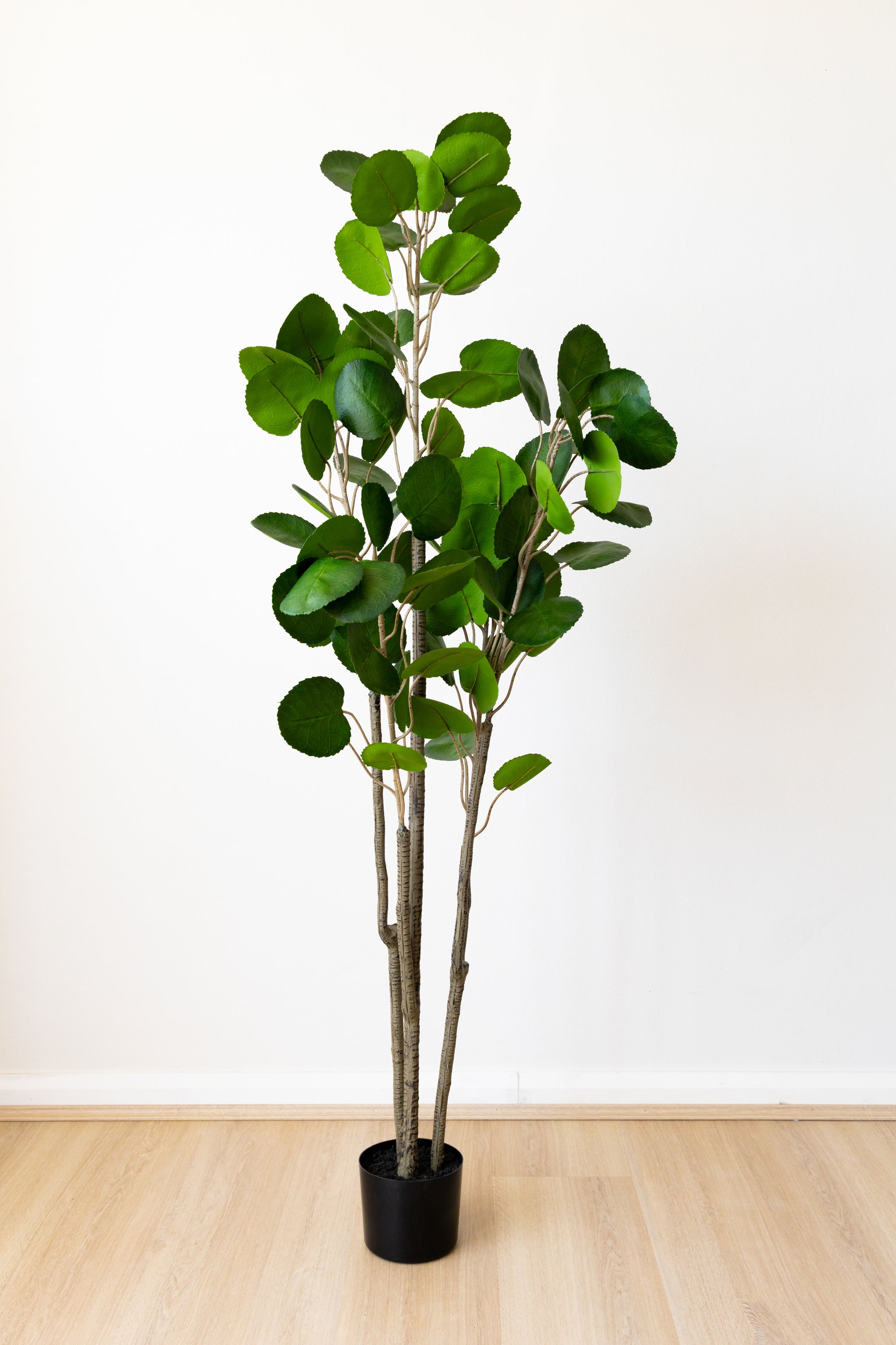 150cm Artificial Fig Tree