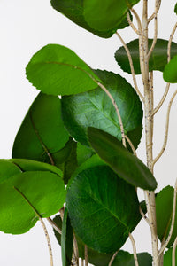 150cm Artificial Fig Tree
