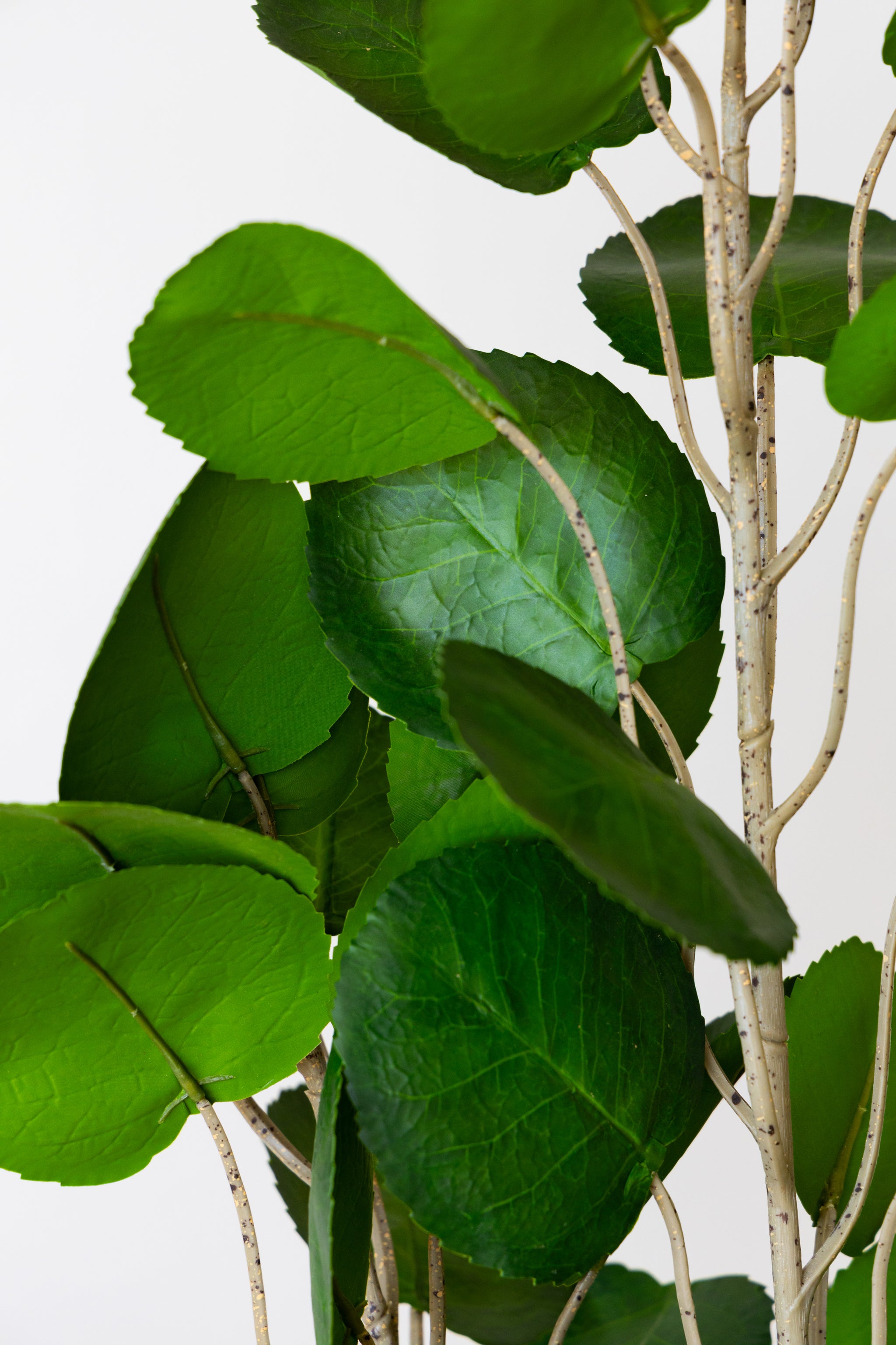 150cm Artificial Fig Tree