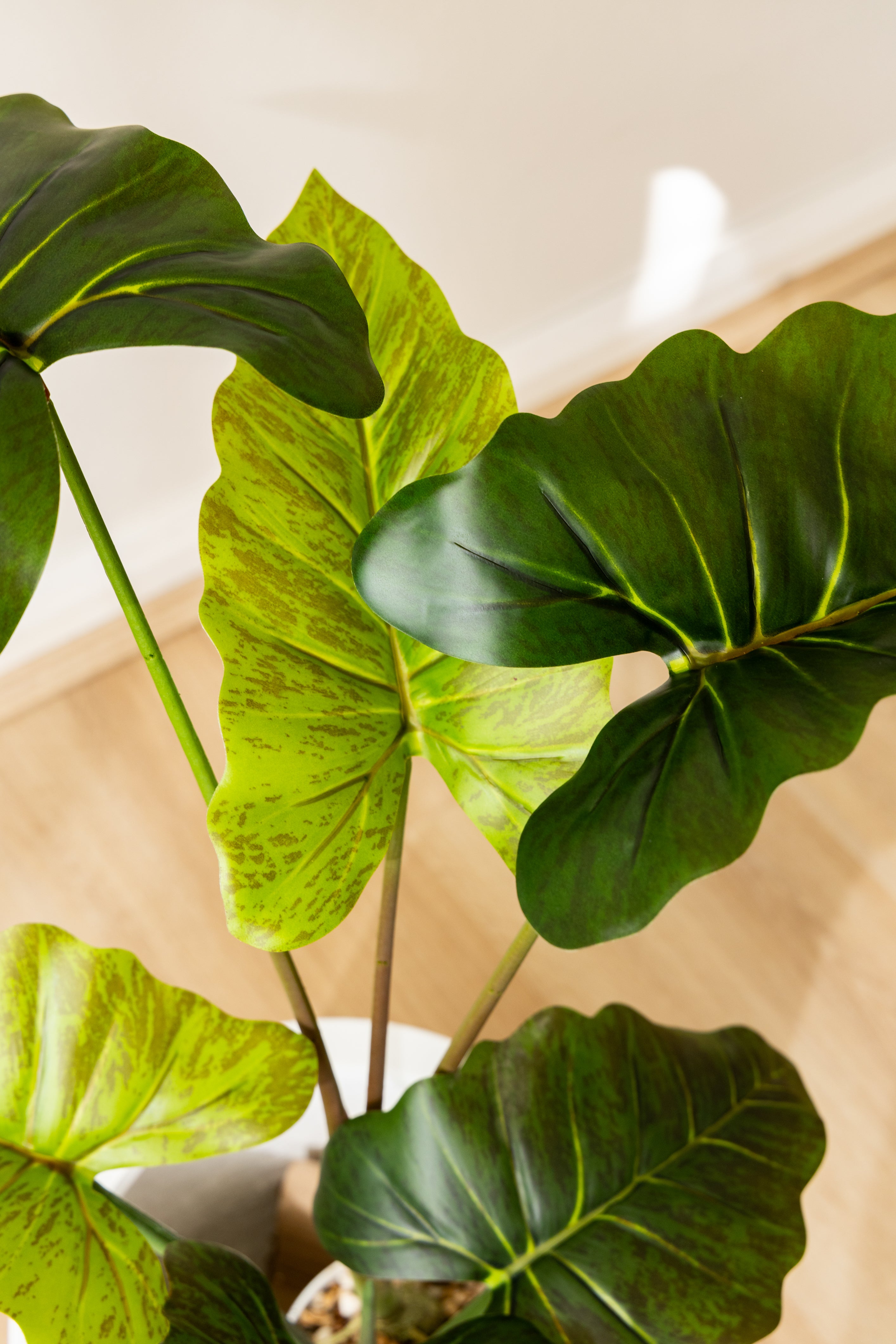 Shop Artificial Elephant Ears Best Artificial Elephant Ear Plant For