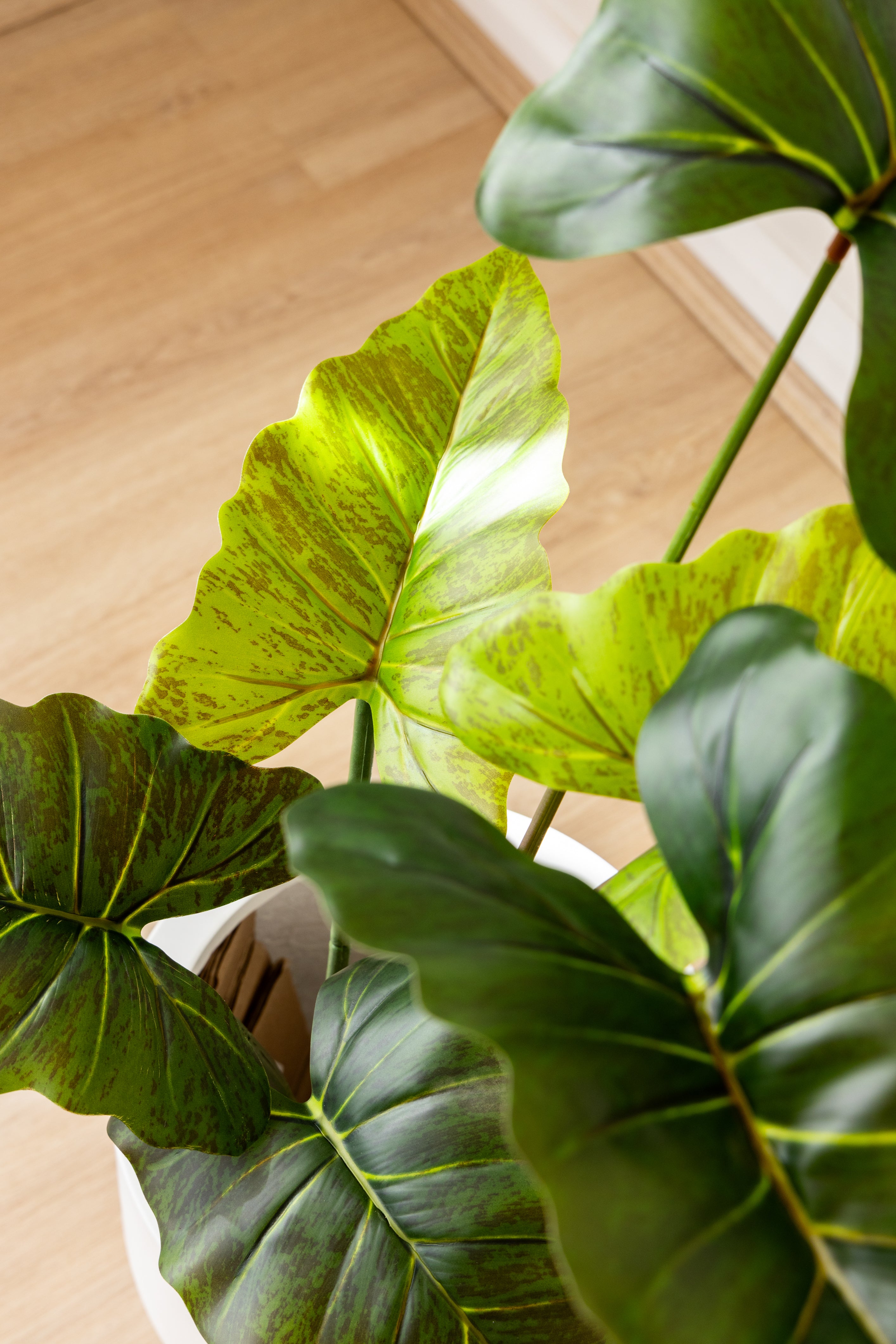 Shop Artificial Elephant Ears Best Artificial Elephant Ear Plant For