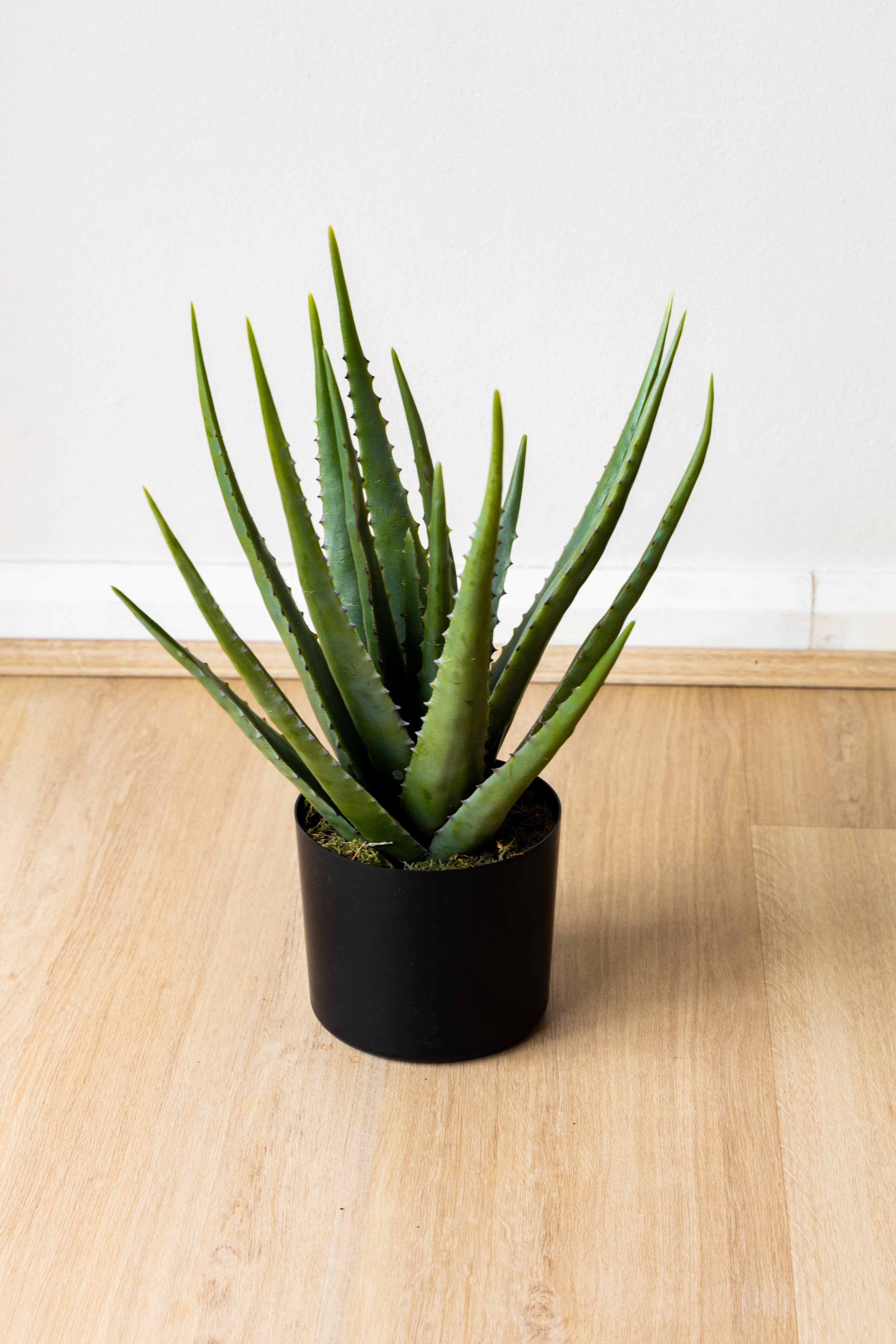 Shop Artificial Aloe Vera Best Artificial Plants for Indoor Home