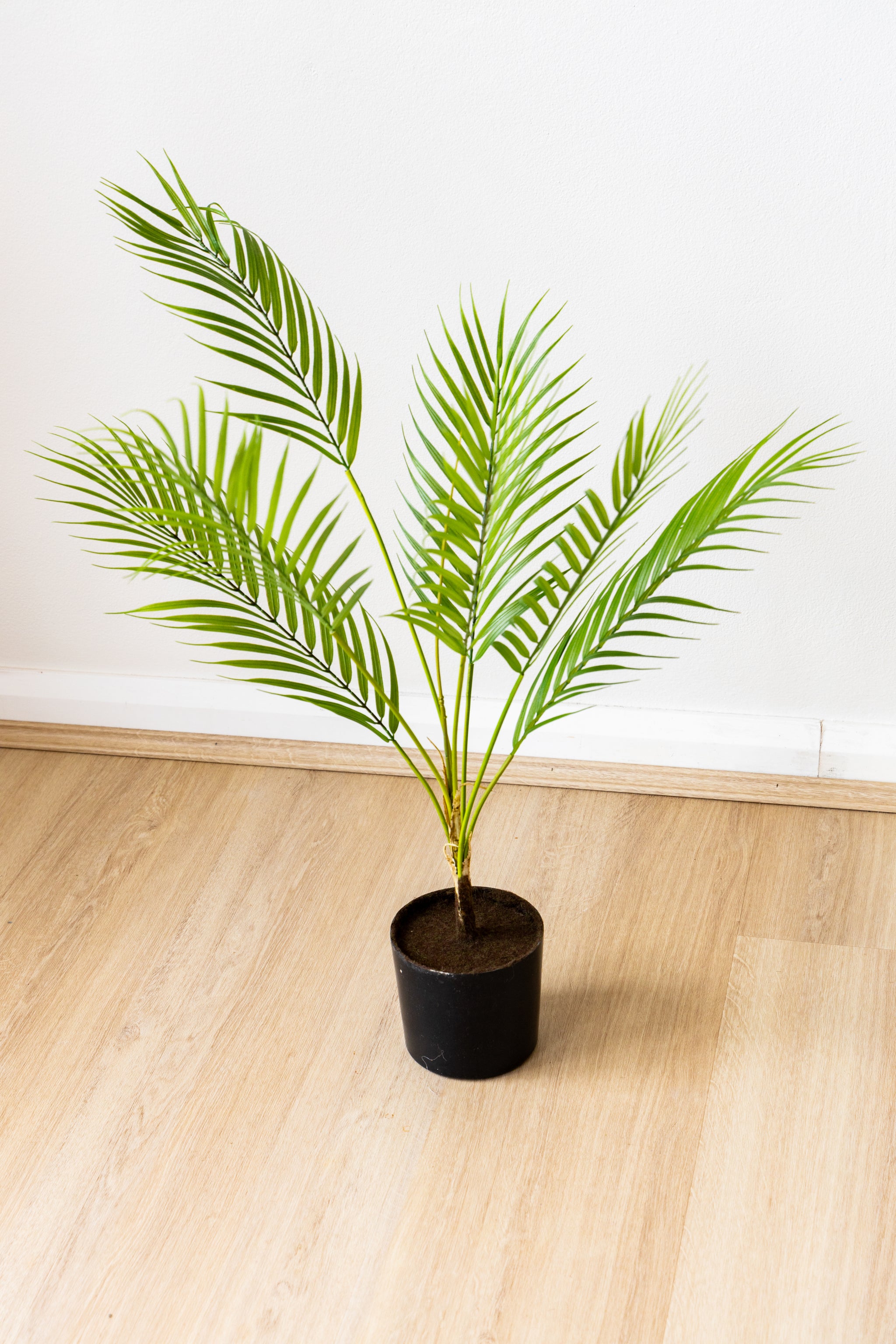 65cm Artificial Palm Tree