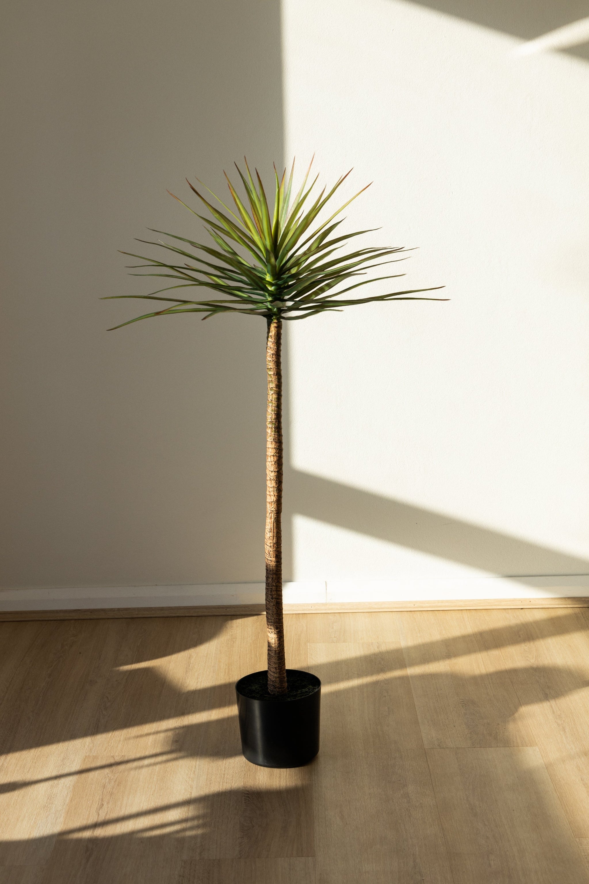 125cm Artificial Yucca
