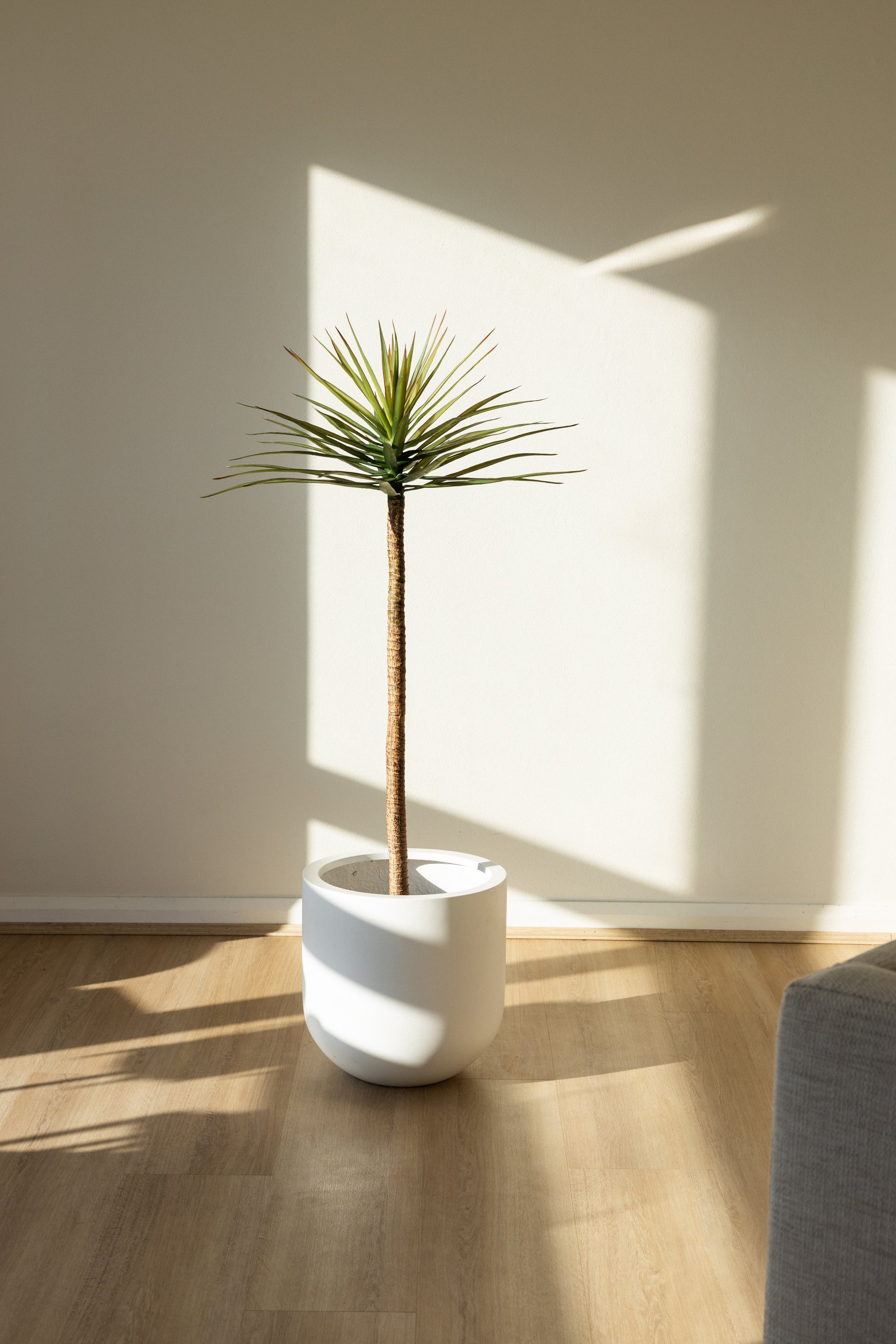 125cm Artificial Yucca