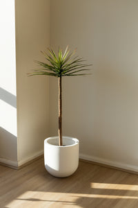 125cm Artificial Yucca