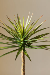 125cm Artificial Yucca