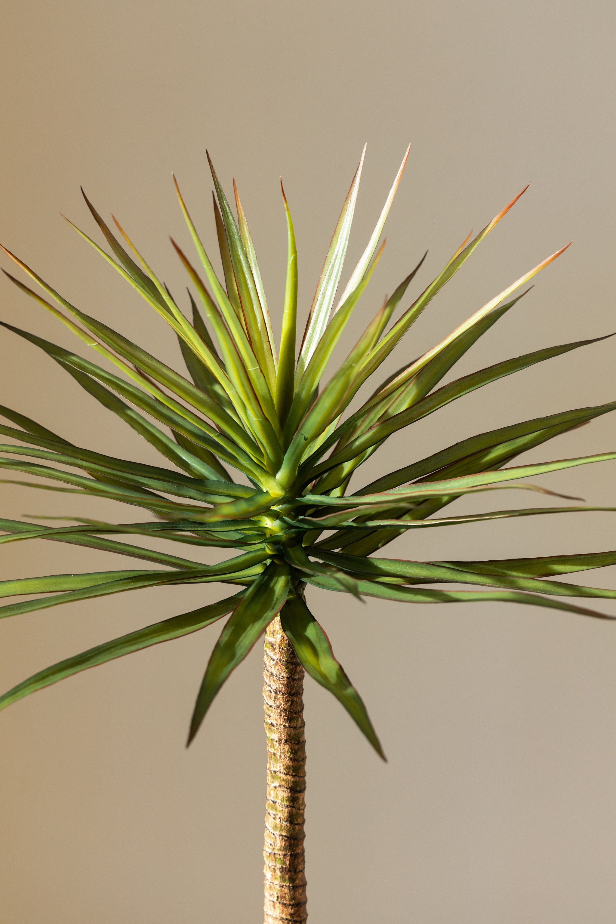125cm Artificial Yucca