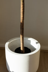 125cm Artificial Yucca