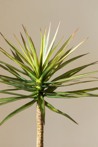 125cm Artificial Yucca