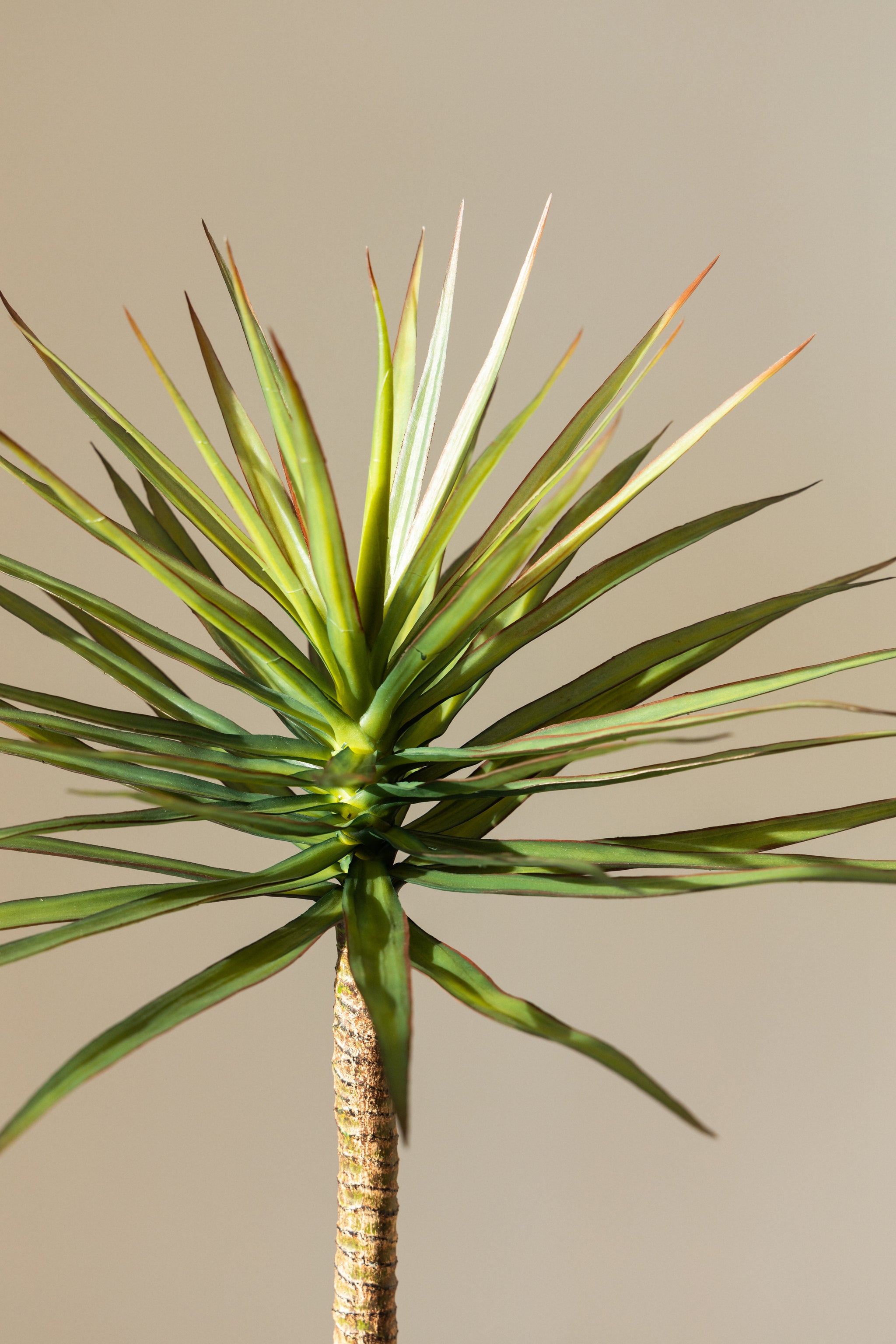 125cm Artificial Yucca