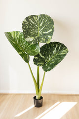 160cm Artificial Calla Lily