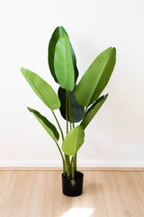 110cm Artificial Strelitzia Nicolai