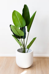 110cm Artificial Strelitzia Nicolai