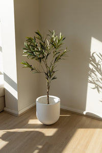 135cm Artificial Olive Tree