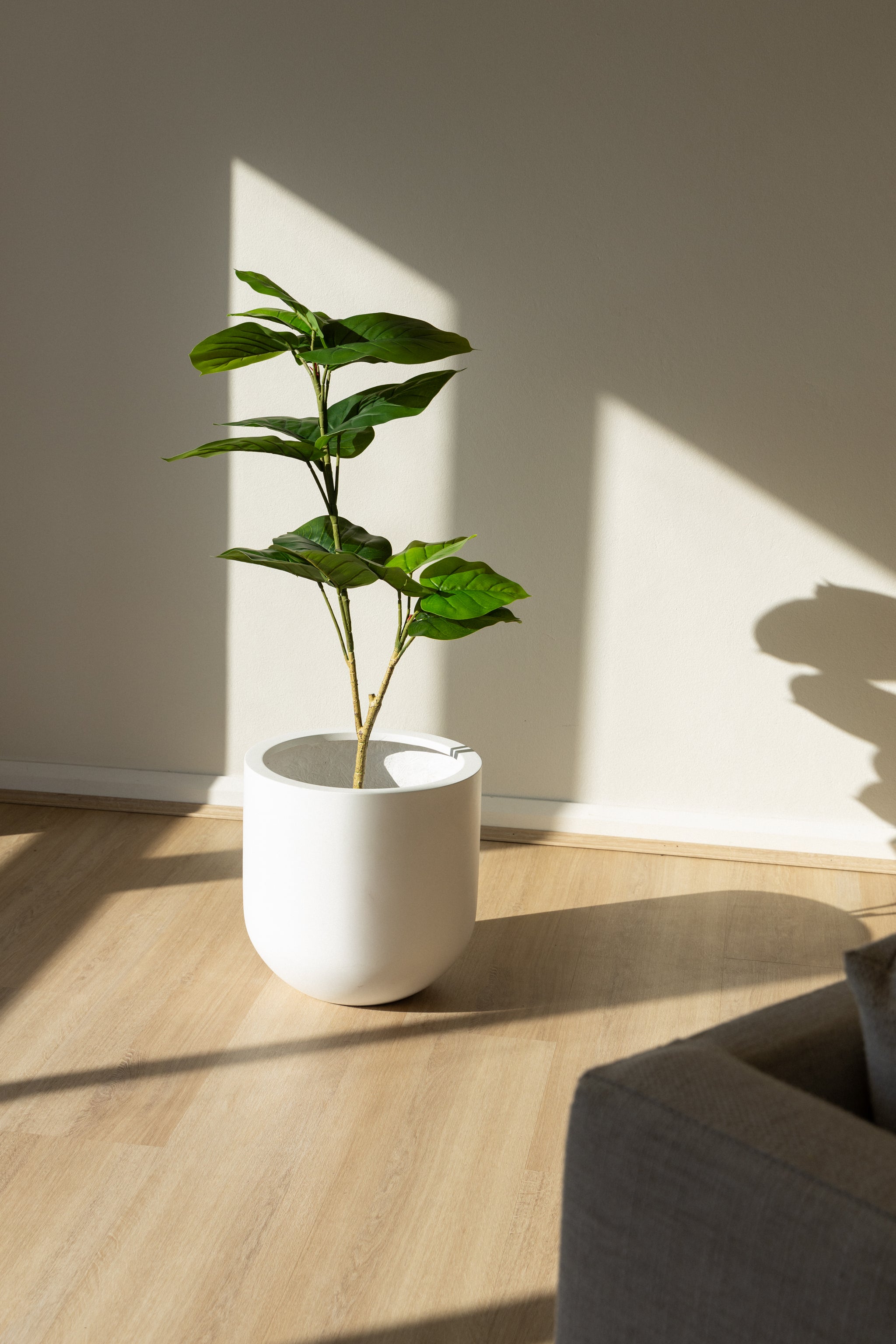 100cm Artificial Fiddle Leaf