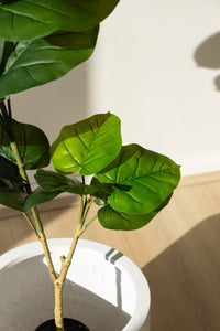 100cm Artificial Fiddle Leaf