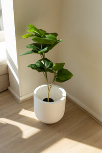100cm Artificial Fiddle Leaf