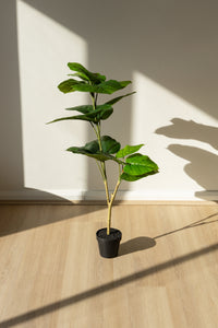 100cm Artificial Fiddle Leaf