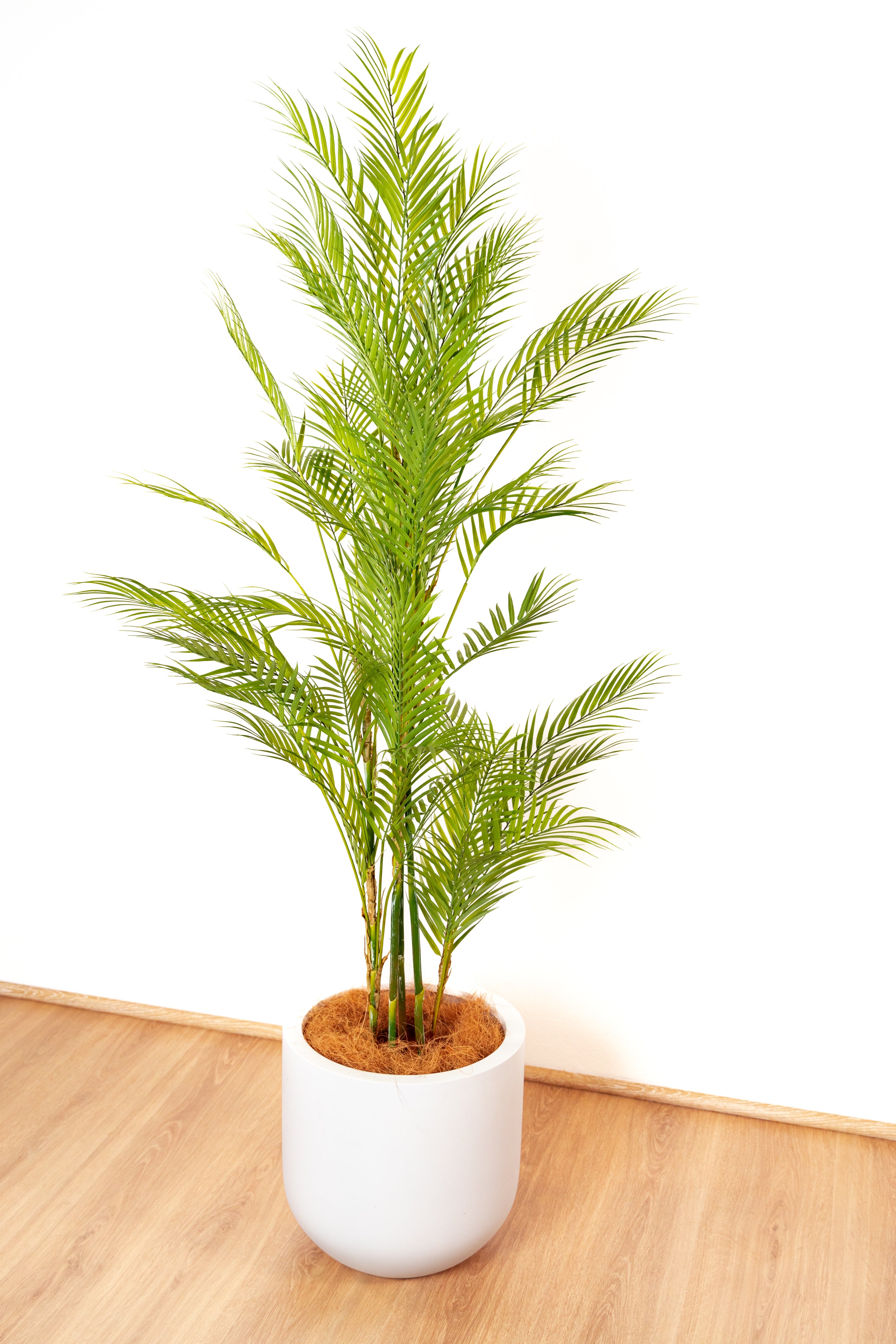 Ultra LifeLike Artificial Palm Tree 151cm Tropical Artificial