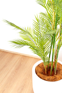 150cm Artificial Palm Tree