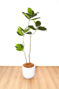 156cm Artificial Fiddle Leaf