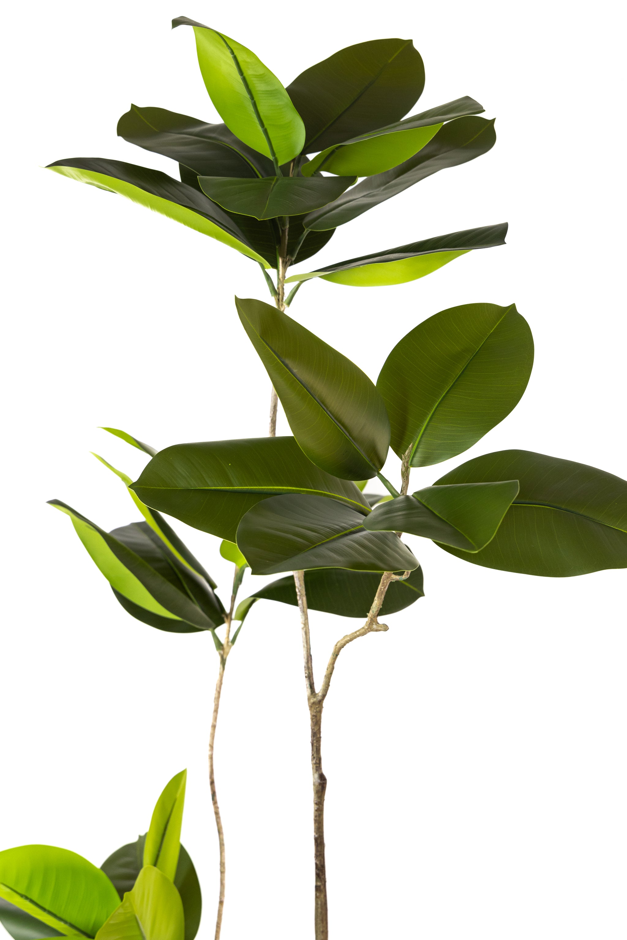 156cm Artificial Fiddle Leaf