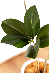 156cm Artificial Fiddle Leaf