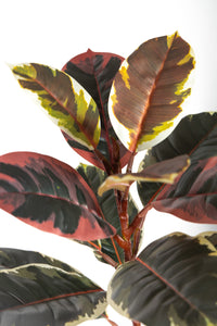 146cm Artificial Fiddle Leaf