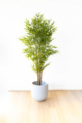 150cm Artificial Bamboo Palm