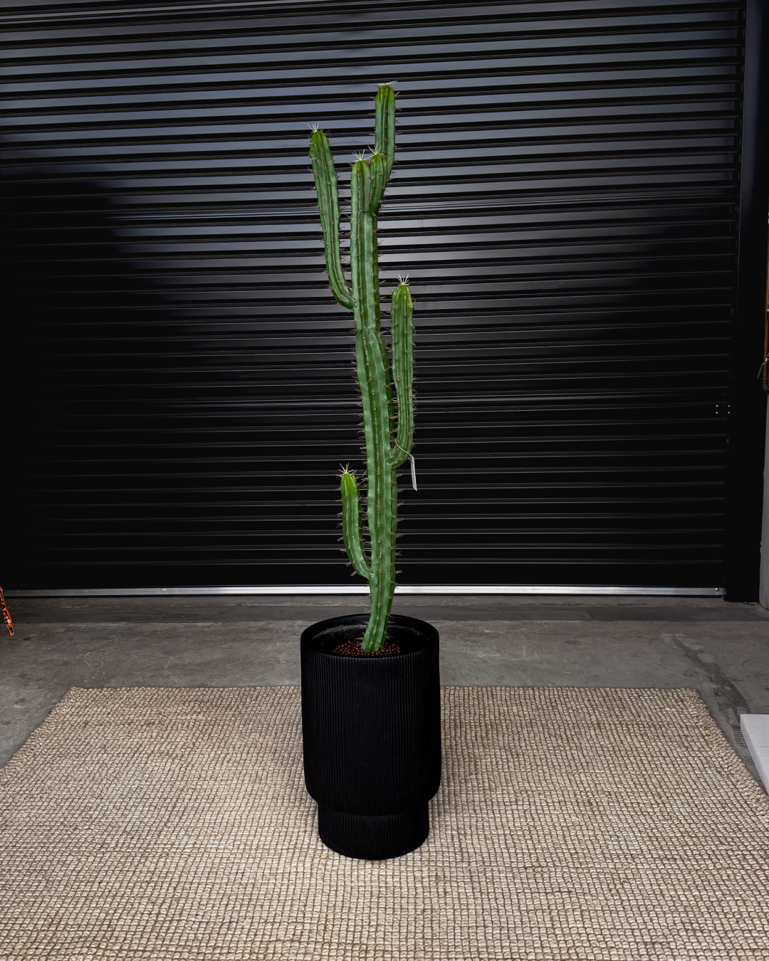 160cm Artificial Cactus