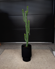 160cm Artificial Cactus