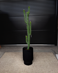 160cm Artificial Cactus