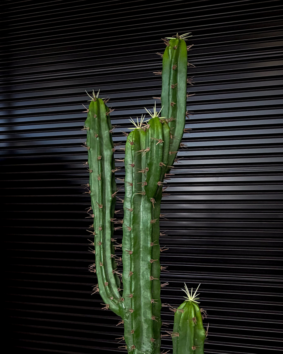 160cm Artificial Cactus