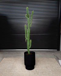 160cm Artificial Cactus
