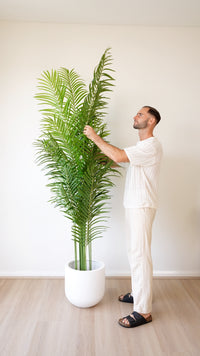 220cm Artificial Palm Tree